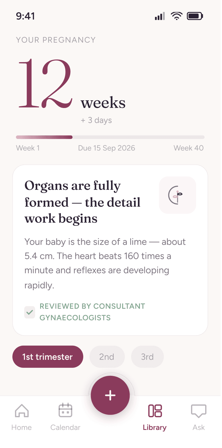 Zoya pregnancy screen showing week 12 progress, a written update on fetal development, and a note that it was reviewed by consultant gynaecologists